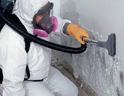 Best Mold Documentation for Insurance Claims  in Lake Crystal, MN